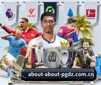 PG电子 APP