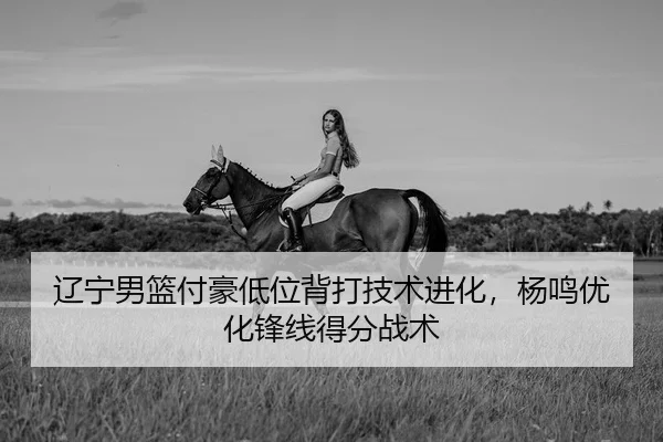 辽宁男篮付豪低位背打技术进化，杨鸣优化锋线得分战术